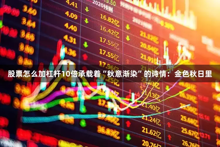 股票怎么加杠杆10倍承载着“秋意渐染”的诗情：金色秋日里