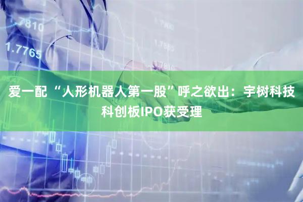 爱一配 “人形机器人第一股”呼之欲出：宇树科技科创板IPO获受理